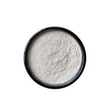 CAS No. 446-72-0 Natural Sophora Japonica Extract 98% Genistein Powder Genistein